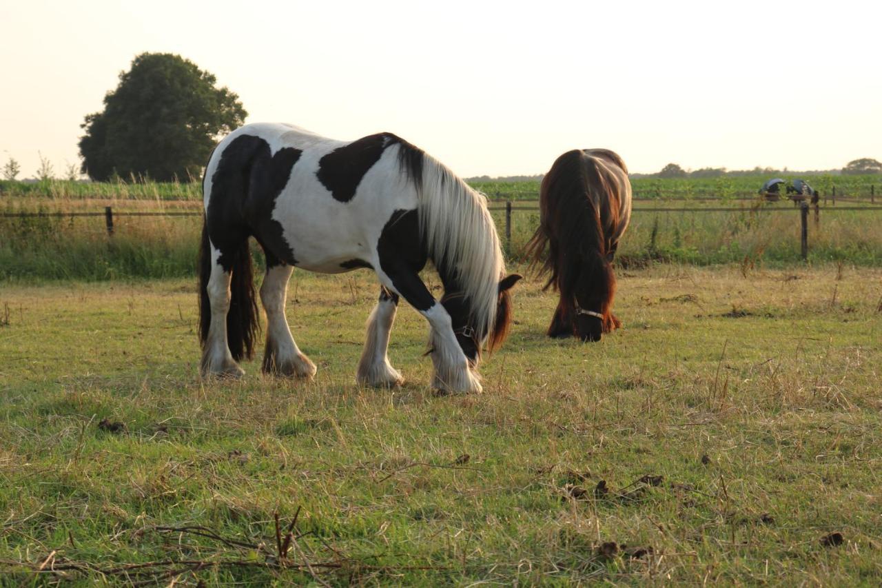 Slapen Tussen De Paarden Hotell Essen Eksteriør bilde